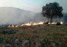 ۸۰ هکتار از مراتع و پوشش جنگلی دالاهو در آتش سوخت