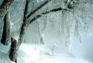 آلایندگی هوا از دوشنبه در بیشتر مناطق کشور کاهش مییابد/بارش برف و باران در البرز مرکزی، تهران و ۱۱ استان کشور