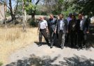 دستور شهردار برای احیای باغات قدیمی تبریز
