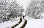 برف و باران در جاده‌های ۲۱ استان کشور/ ریزش کوه در جاده چالوس