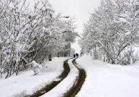 بارش برف و باران در ۲۰ استان از امروز